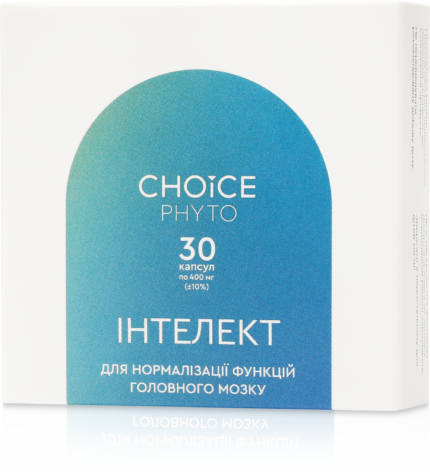 Інтелект